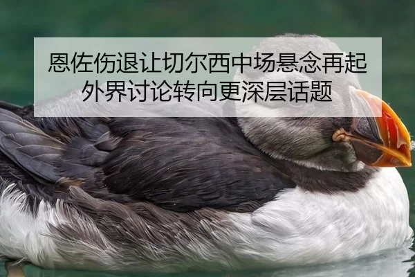 恩佐伤退让切尔西中场悬念再起 外界讨论转向更深层话题